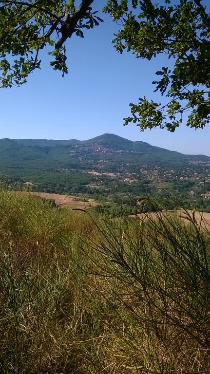 B&B Il Pantanello Rocca Di Papa Ngoại thất bức ảnh