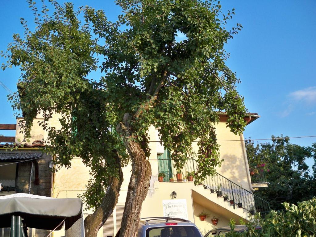 B&B Il Pantanello Rocca Di Papa Ngoại thất bức ảnh